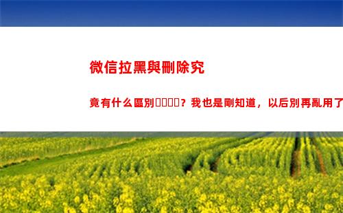 微信拉黑與刪除究竟有什么區別？我也是剛知道，以后別再亂用了(微信拉黑再刪除一輩子加不上)